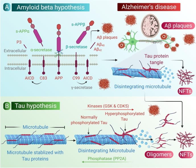 FDA Approves First CRISPR‑Based Cure for Alzheimer's Disease